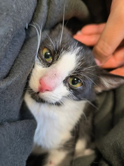 Ile jeszcze czasu musi minąć, aby ktoś je pokochał?..