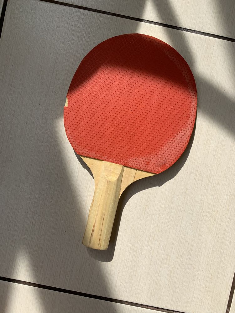 Ракетки для настільного тенісу (Huieson T.T. Racket, DHS 6512, інші)