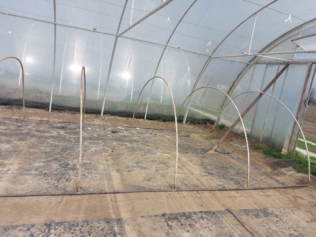 Tunele metalowe 26m*3.2m do chryzantem kwiatów i upraw
