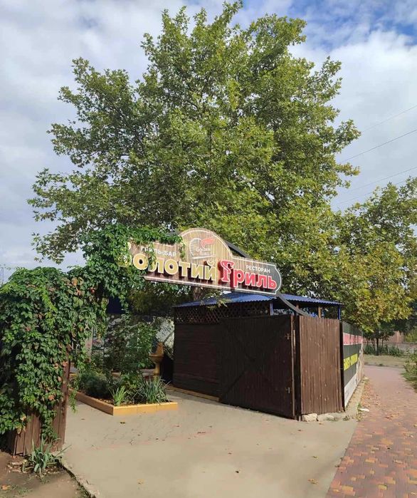 Сдается в аренду действующее кафе-бар "Золотой Гриль" (Лески)