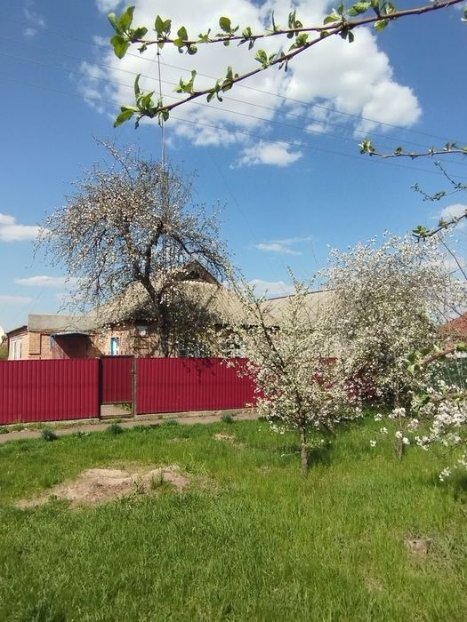 Продам приватний будинок