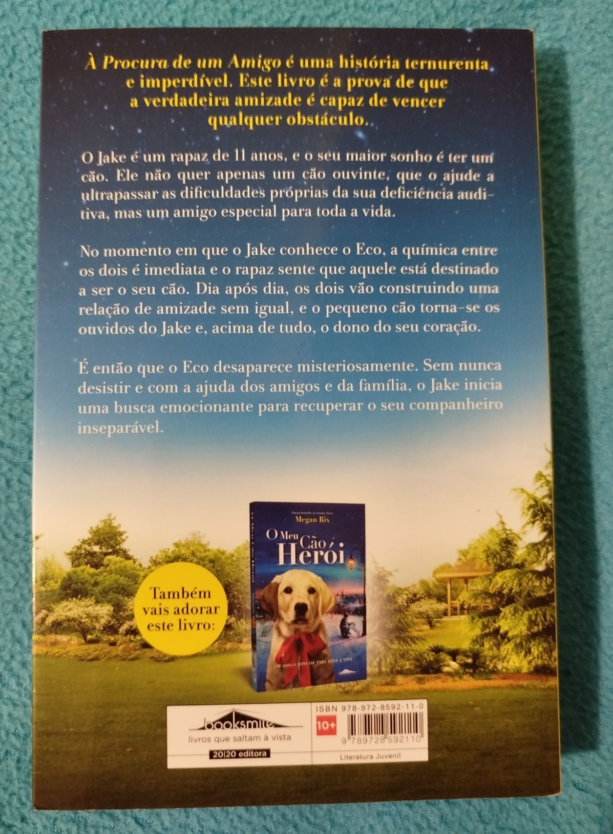 Livro À Procura de um Amigo