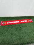 Cachecol Benfica novo