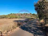 Terreno  para venda