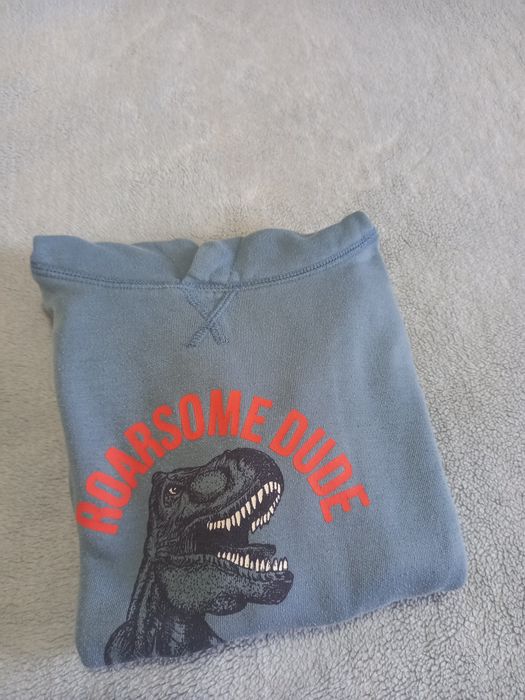 Sweatshirt Dinossauro