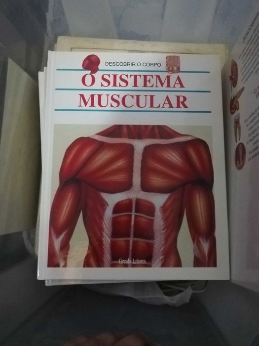 Livro Saúde descobrir corpo humano coleção