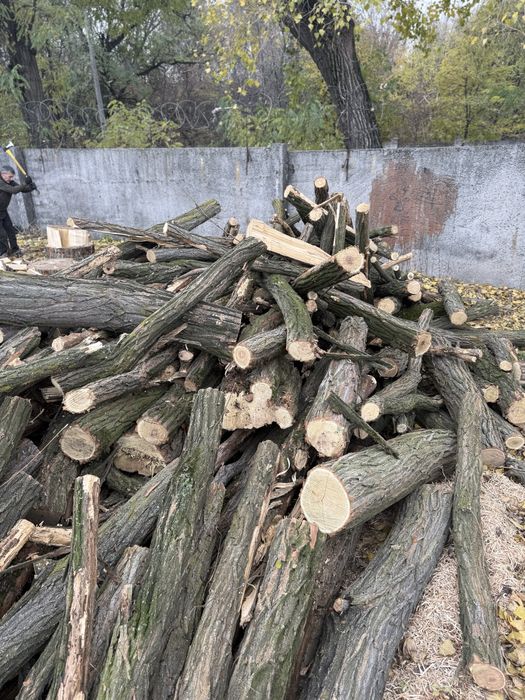 Дрова микс Акация Ясень Берест Клен