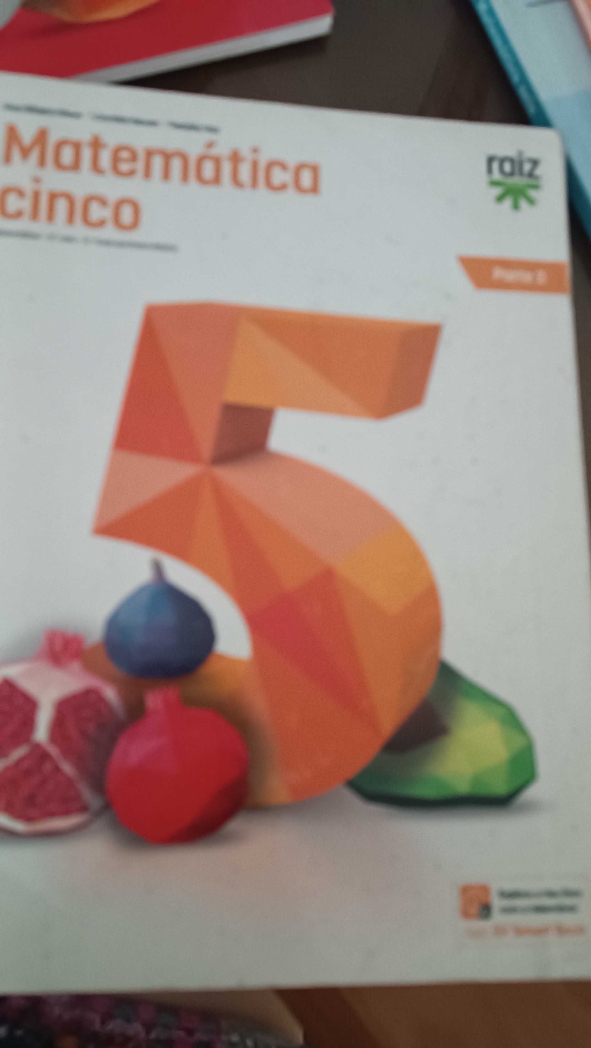 Manuais e caderno de actividades Matemática 5° ano
