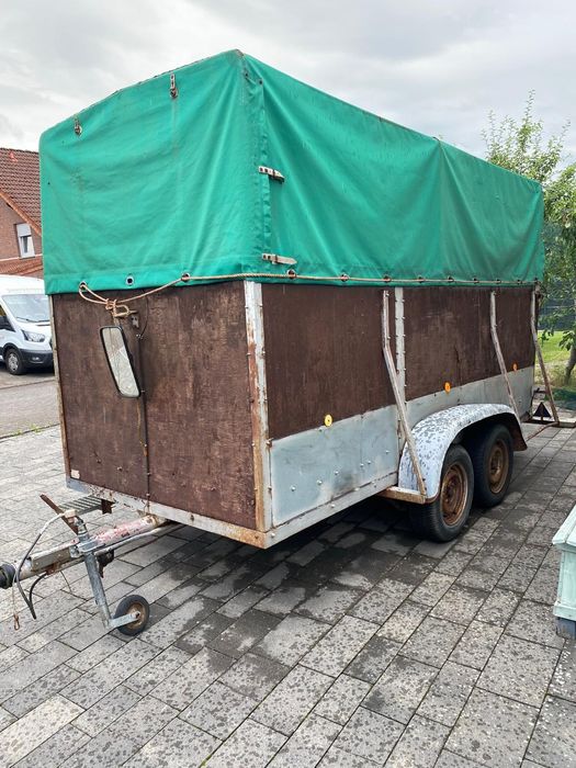 PRZYCZEPA do przewozu koni