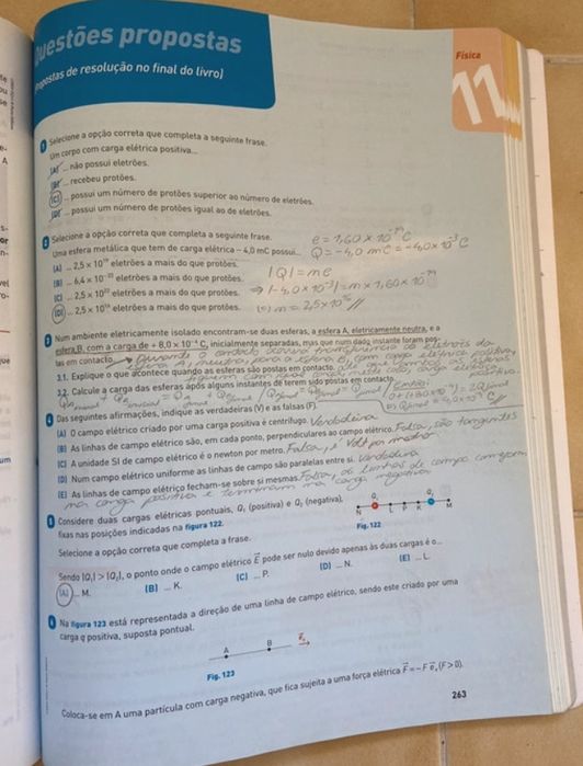 Livro de preparacao para exame de 11 ano de Fisica  Quimica daporto ed