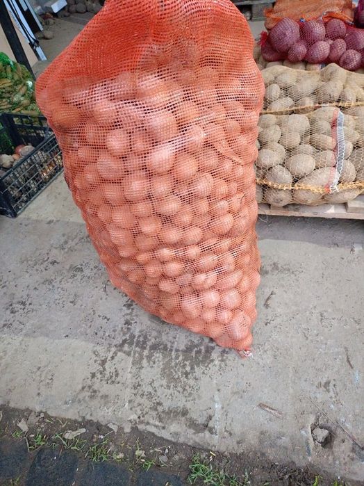 Ziemniaki paszowe, drobne oraz grube.