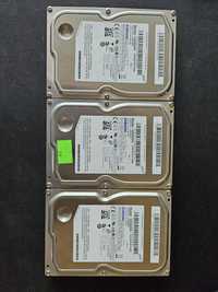 Dysk HDD Samsung 500 GB, 5400, 16 MB, HD502HI