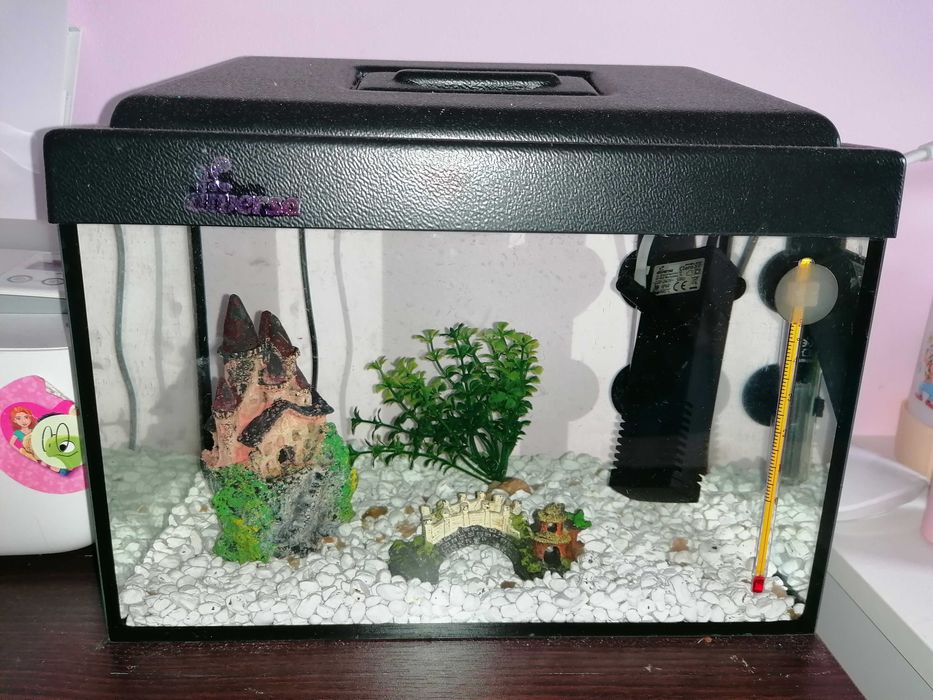 Akwarium  z wyposażeniem