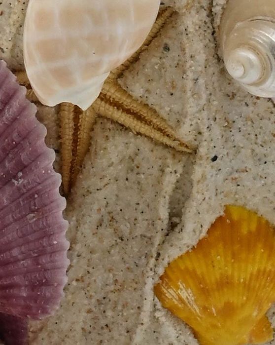 Jarra decorativa Mar Praia
