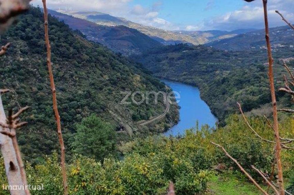 Quinta no Douro valley