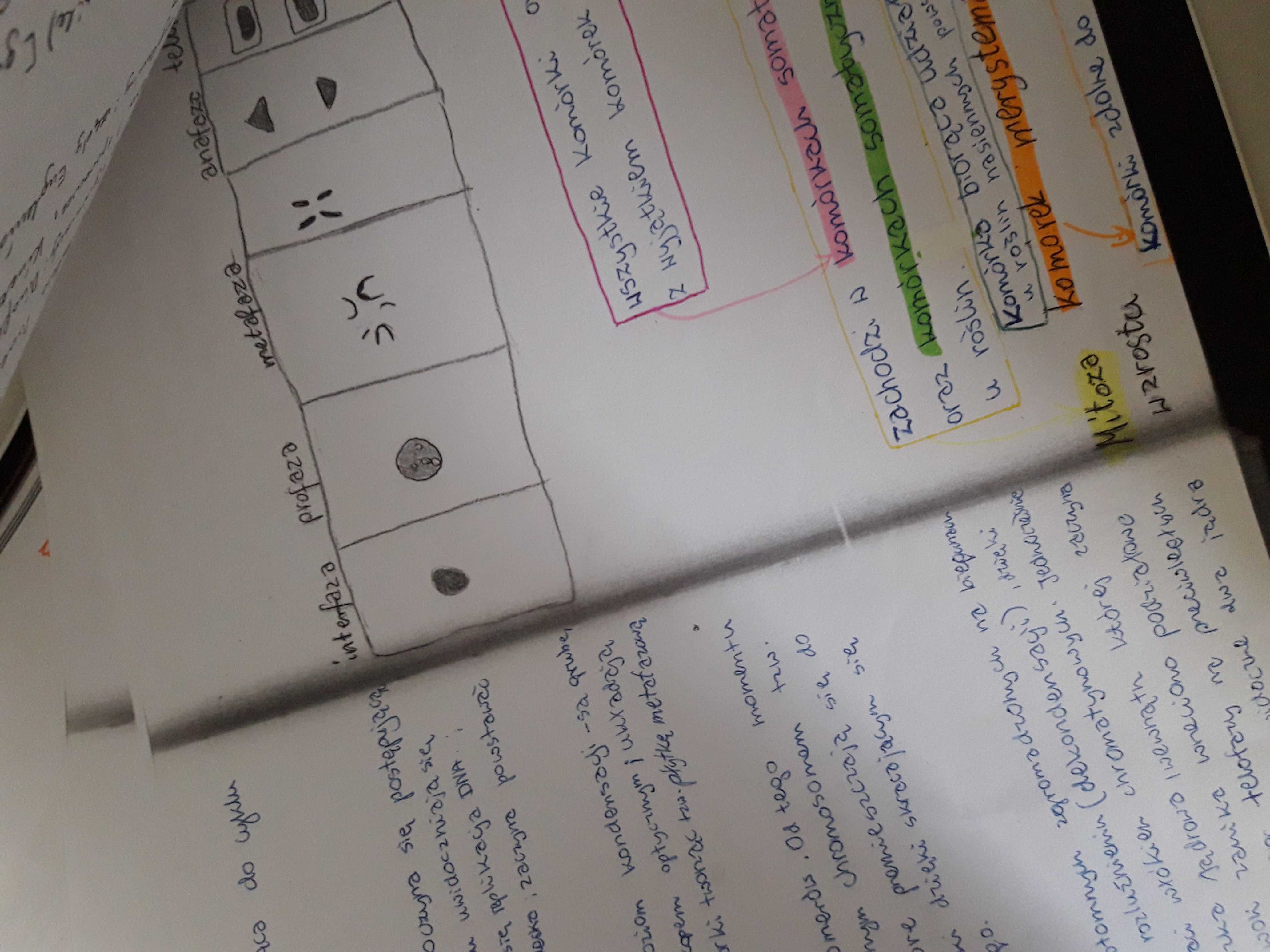 notatki studia ochrona środowiska pierwszy 1 rok biologia laboratoria