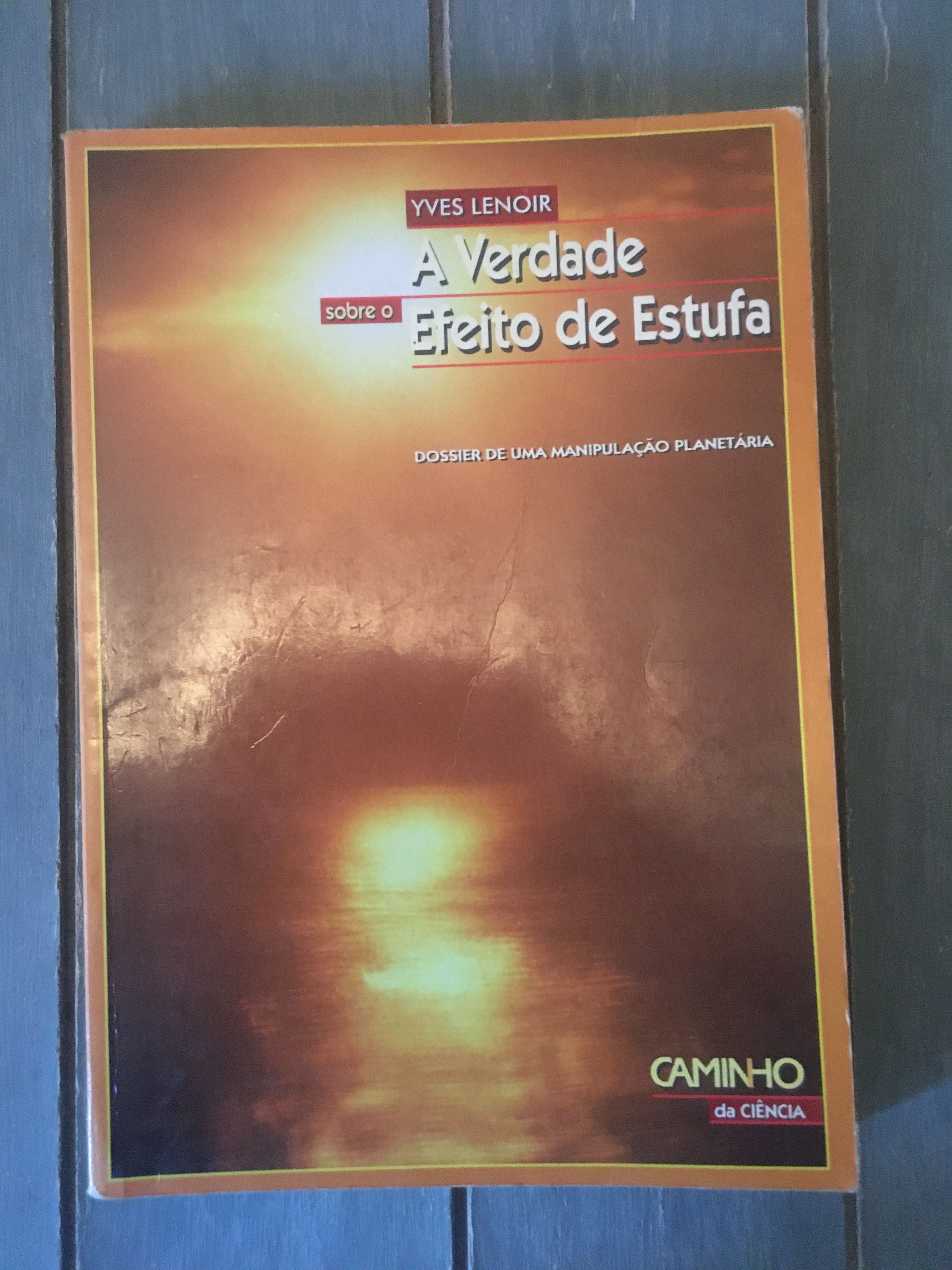 A Verdade sobre o efeito de estufa - Yves Lenoir