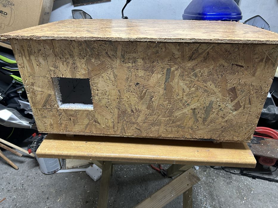 Buda dla kotow wolnozyjacych