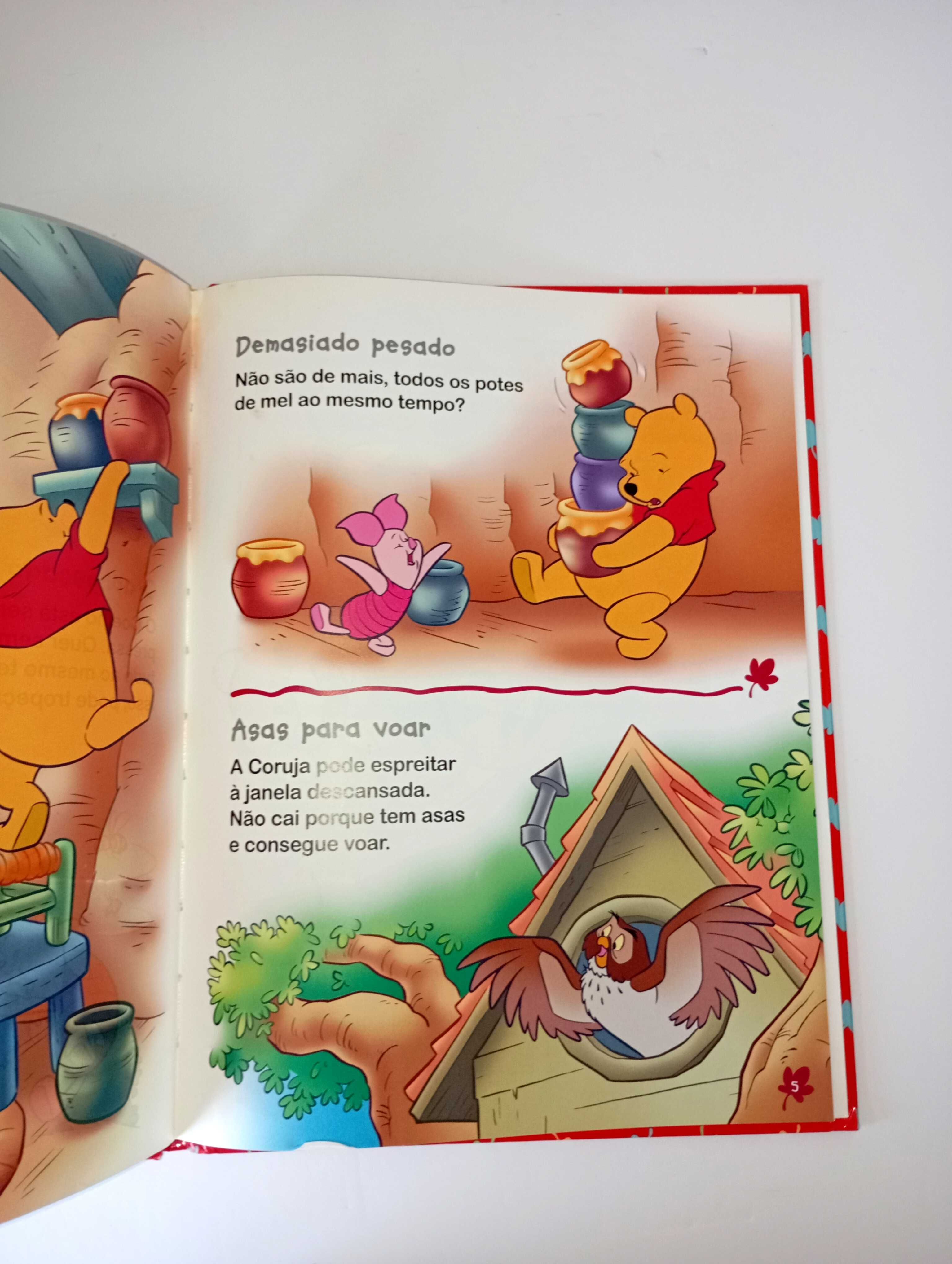 Descobre os Perigos - Winnie the Pooh