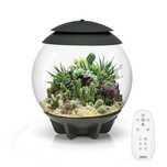 Terrarium dla roślin biOrb Air 30
