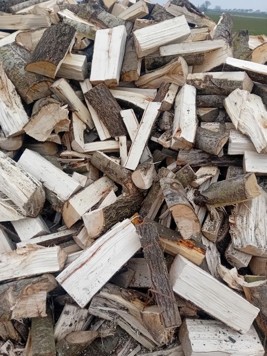 Drewno opałowe topola