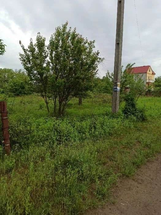 Ділянка 10 сот . Приватизована, Велика Балка