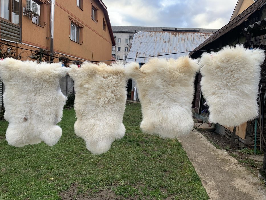 Сова сувенір різні є