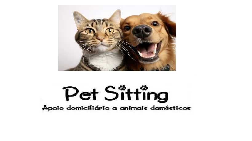 Pet Sitting Zona Fernão Ferro
