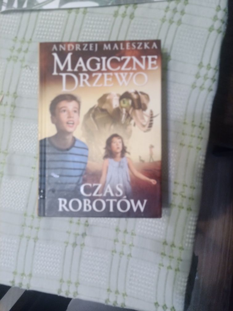 Maleszka Andrzej  Czas robotów i inne