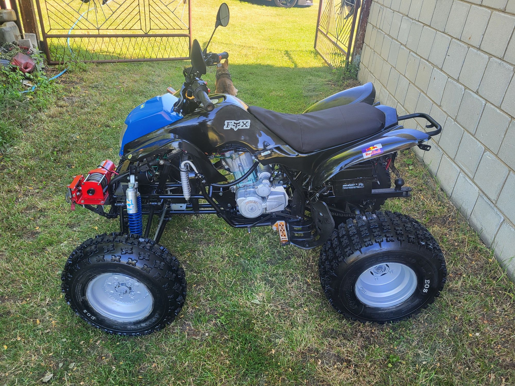 Quad Bashan 250 Manual