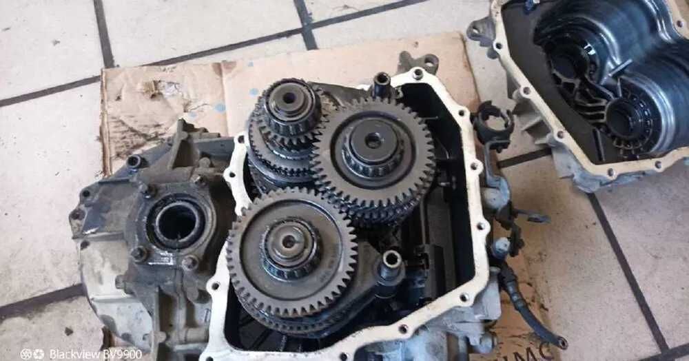 Кпп Opel Zafira B Opel Astra H m32 1.7cdti 55561599
