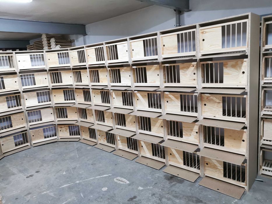 Wysyłka paletowa pakiet cele lęgowe dla gołębi