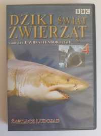 Dziki świat zwierząt. Wieloryb - gigant oceanów płyta DVD