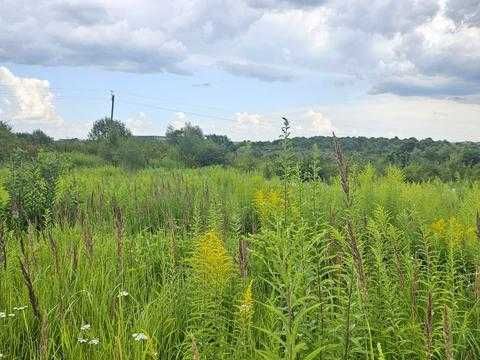 Продам  земельну ділянку в с. Сокільники Львівська область