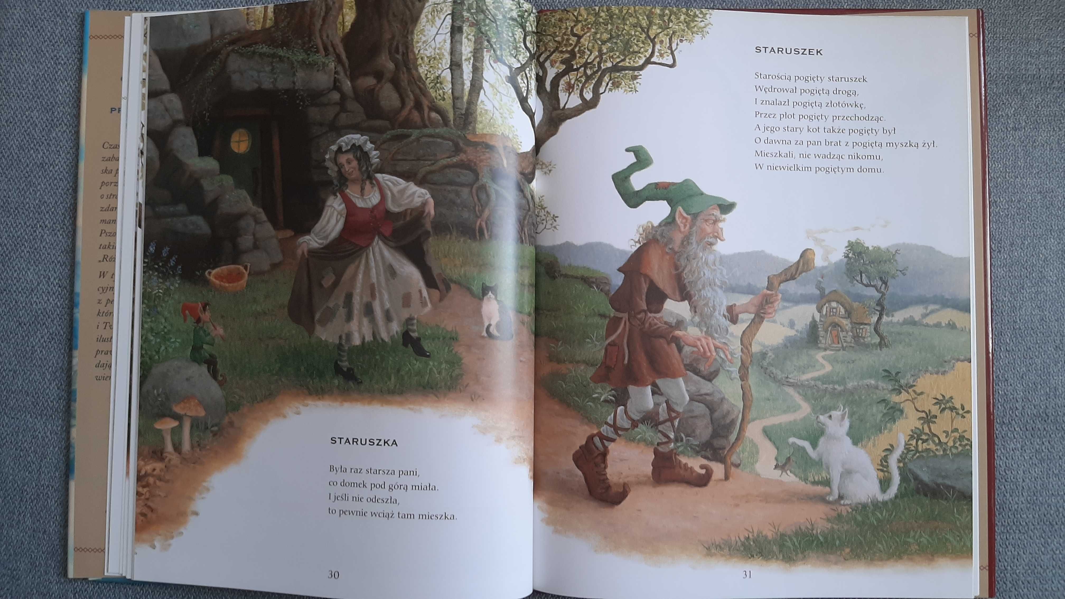 Babcia Gąska i przyjaciele bajki Babci Gąski Ruth Sanderson