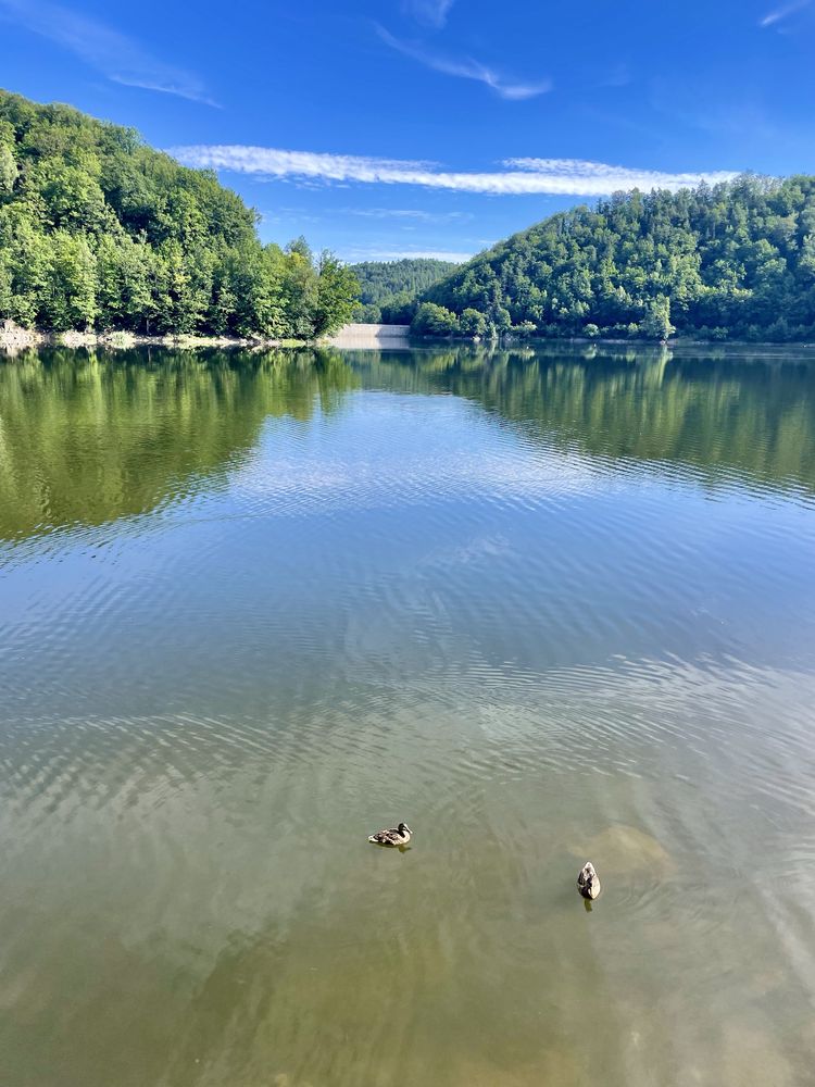 Wynajem Apartamentu  nad jeziorem  w Zagórzu Śląskim