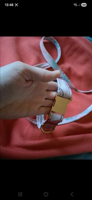 Obróżka i smyczka na małego pieska