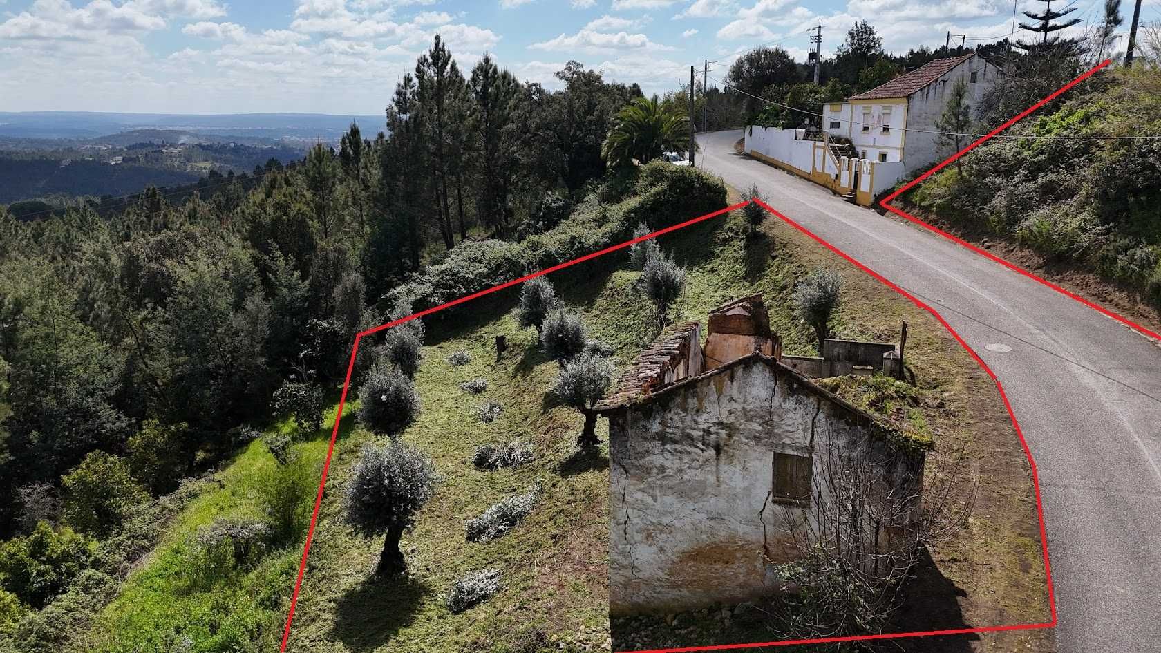Par de terrenos urbano + rústico em Sentieiras Abrantes