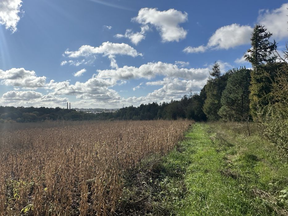 Ділянка під житлову забудову 2,54 га с. Біла
