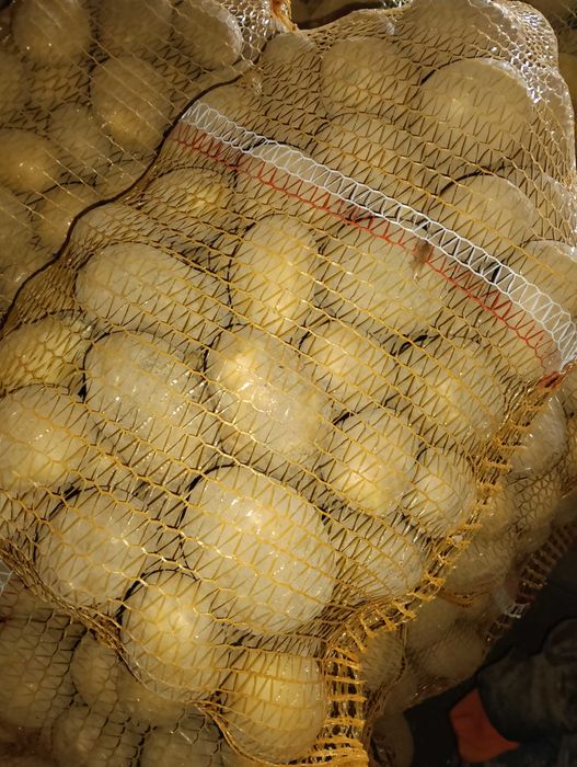 Sprzedam ziemniaki SORAJA