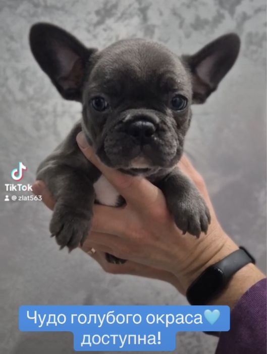 Голубая девочка с голубыми глазками