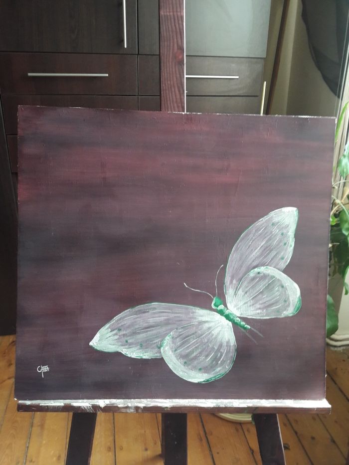 Obraz Motyl 52x47cm