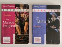Conjunto de livros em Francês