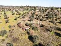 Quinta de 19.000 m2 em Mouriscas, Santarém