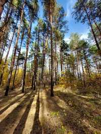 Земля під комерцію. Фасад Варшавки