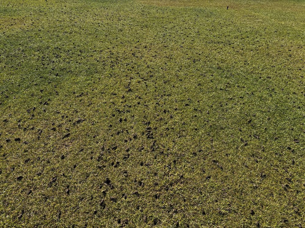 Aerator rurkowy weibang piaskowanie trawnika