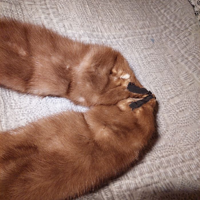 Estola de raposa muito bela