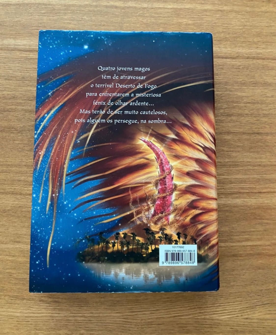 Livro “O Segredo da Fénix”