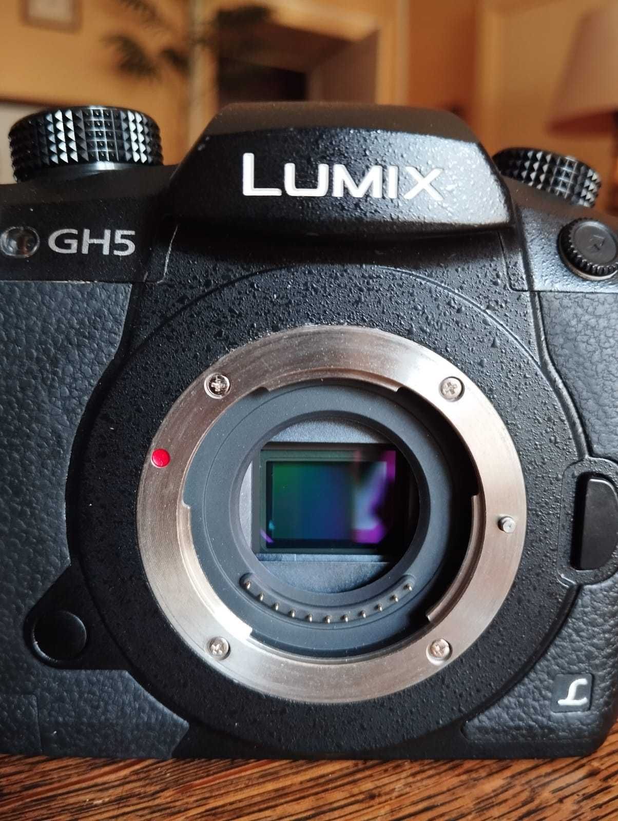 Panasonic Lumix GH5 (corpo) + 2 baterias + caixa e fatura