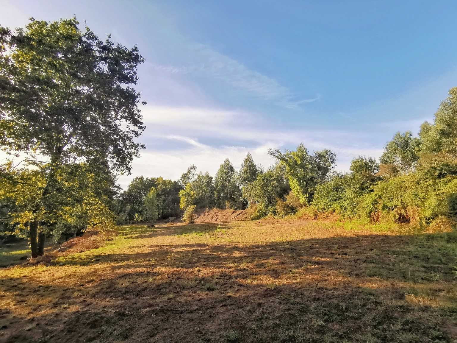 Quinta 21000m2 para moradia Monte Côrdova